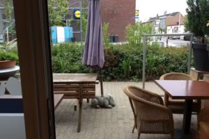 Argentijns steakhouse en burgers