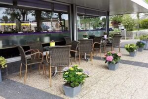 Aziatisch Tapas Restaurant Dynasty