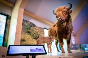 Bezoekerscentrum De Kennemerduinen