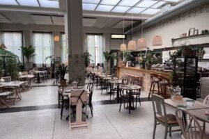 Bluebirds in the Backyard