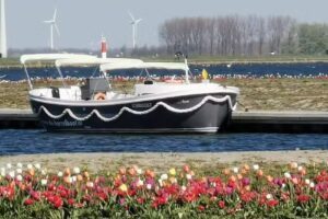 Borrelboot Harderwijk