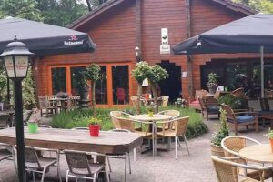 Bosbistro Dennenrhode