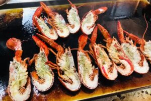 Brasserie Kaat Mossel