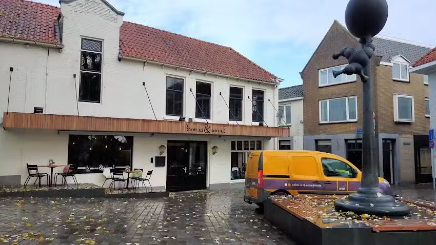 Brownies&downieS Goes