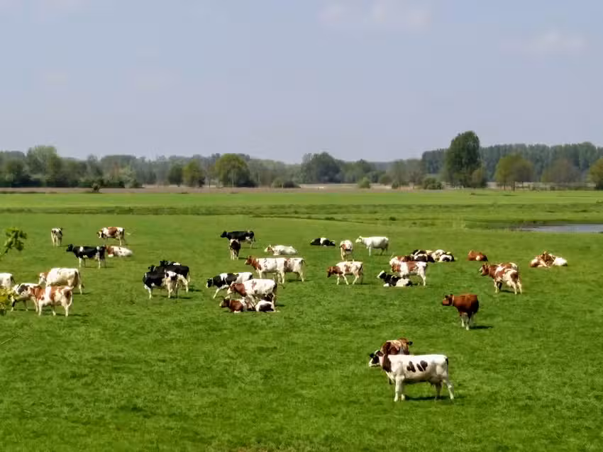 C.L. de Raden & Zoon