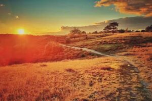 Cafetaria Friture De Voort