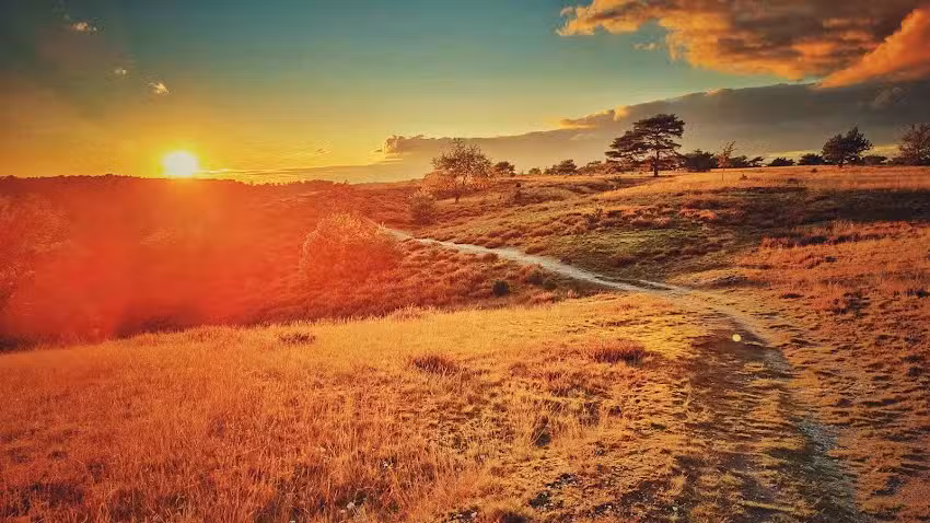 Cafetaria Friture De Voort