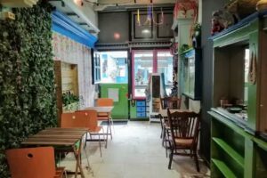 Curries and Candles | Spicy Elephant