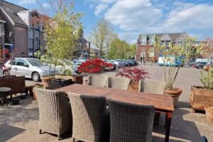 De Chinees van Eemnes