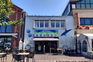 De Dolfijn &ndash; IJmuiden