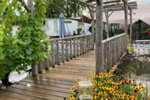 De Tuin van Labyrint