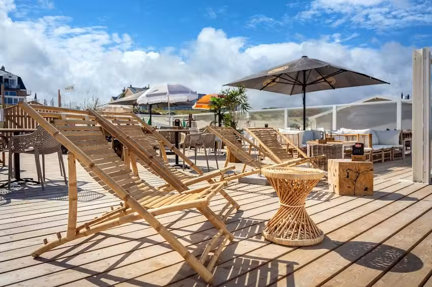 Dikke Zeehond &ndash; Strandpaviljoen Paal 20