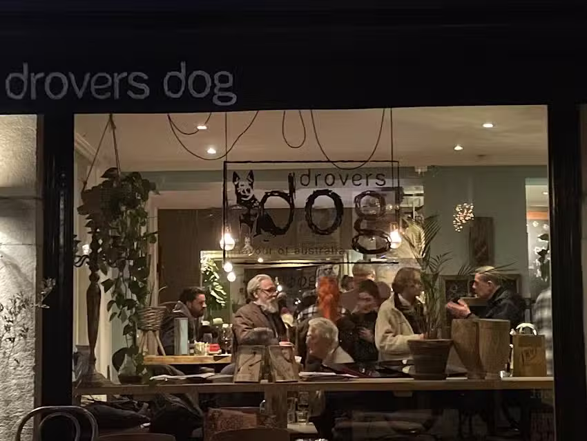 Drovers Dog Atjehstraat