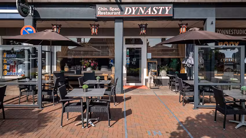 Dynasty
