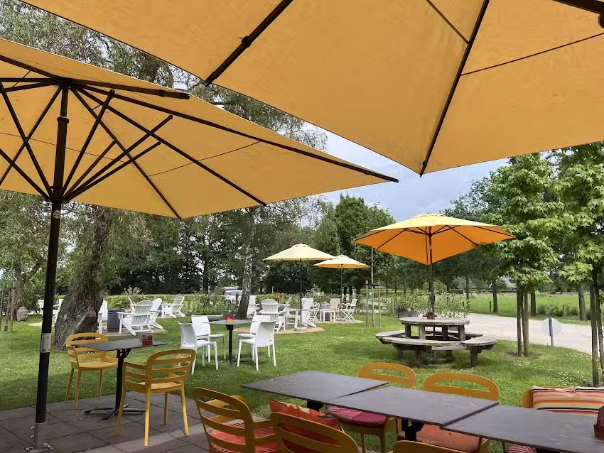 Esther&rsquo;s Terras