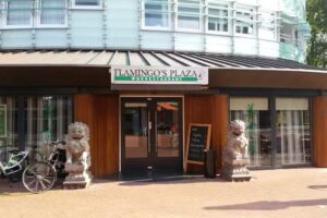 Flamingo&rsquo;s Plaza Wokrestaurant