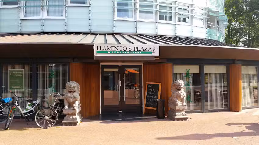 Flamingo&rsquo;s Plaza Wokrestaurant