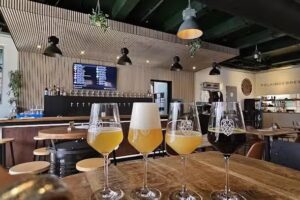 Folkingebrew The Pub