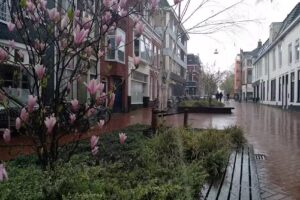 Helpman’s Pasta’s Groningen