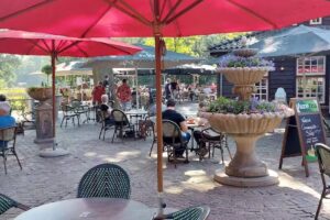 Herberg in het wilde zwijn