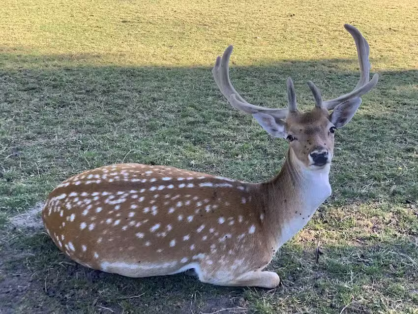 Hertenkamp Enkhuizen
