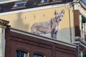 Hotel Caf&eacute; Het Anker