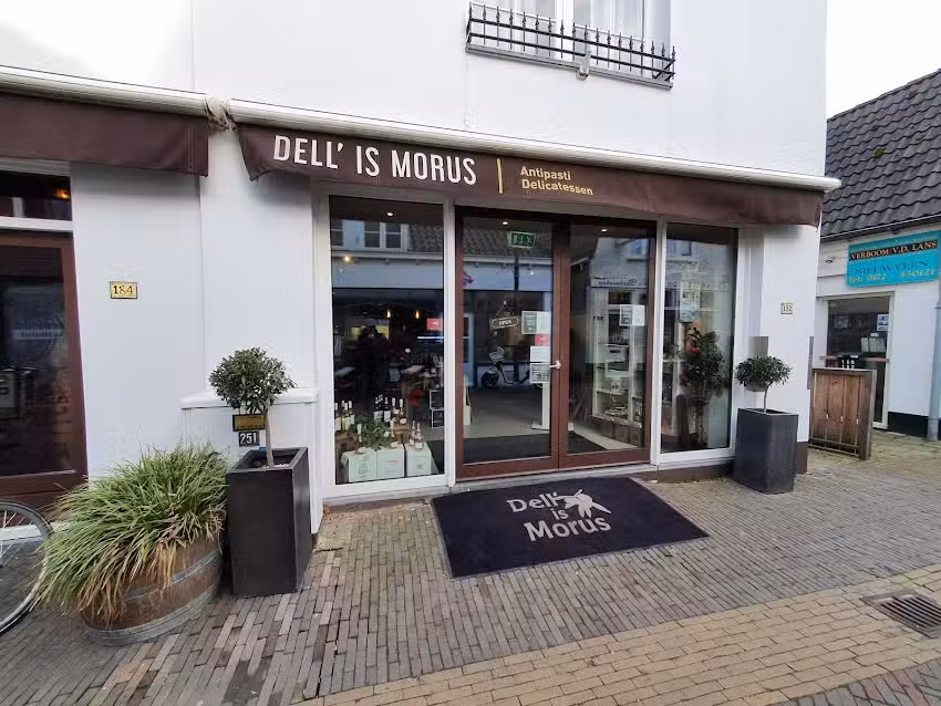 Is Morus