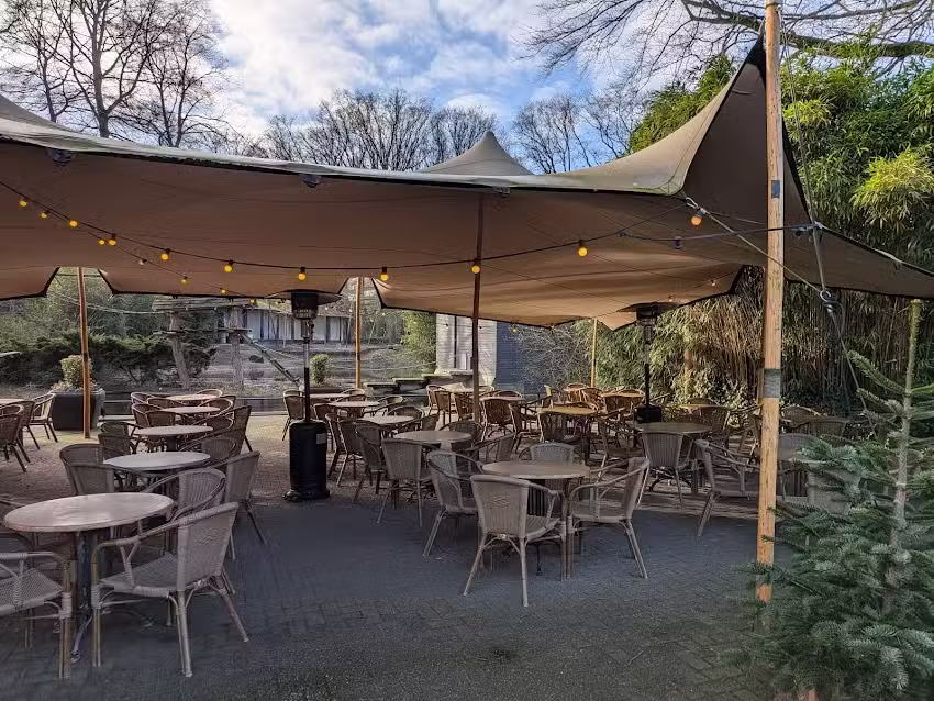 Jungle Restaurant