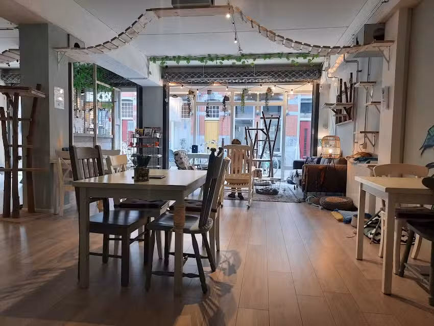 Kattencaf&eacute; De Spinnerij