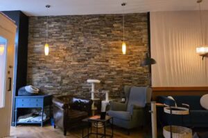 Kattencafe &rsquo;t Visje