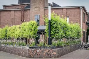 Lust, Bakery & Bistro