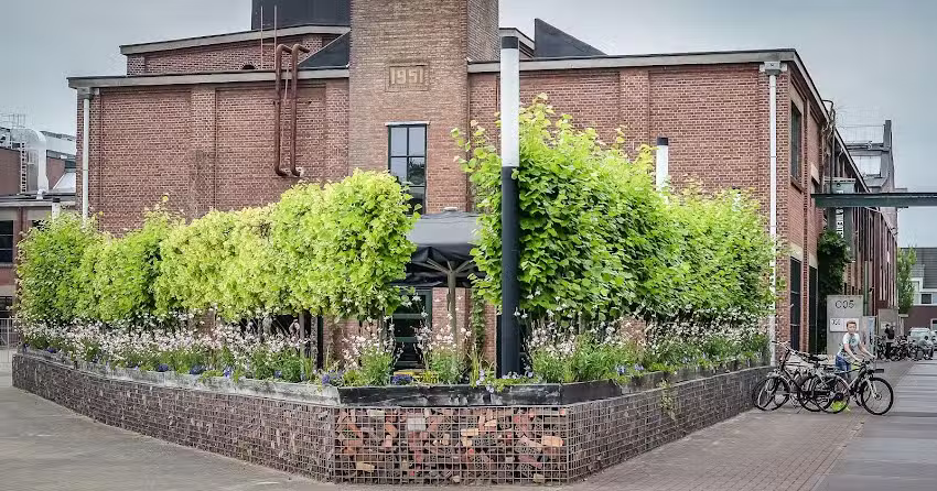 Lust, Bakery & Bistro