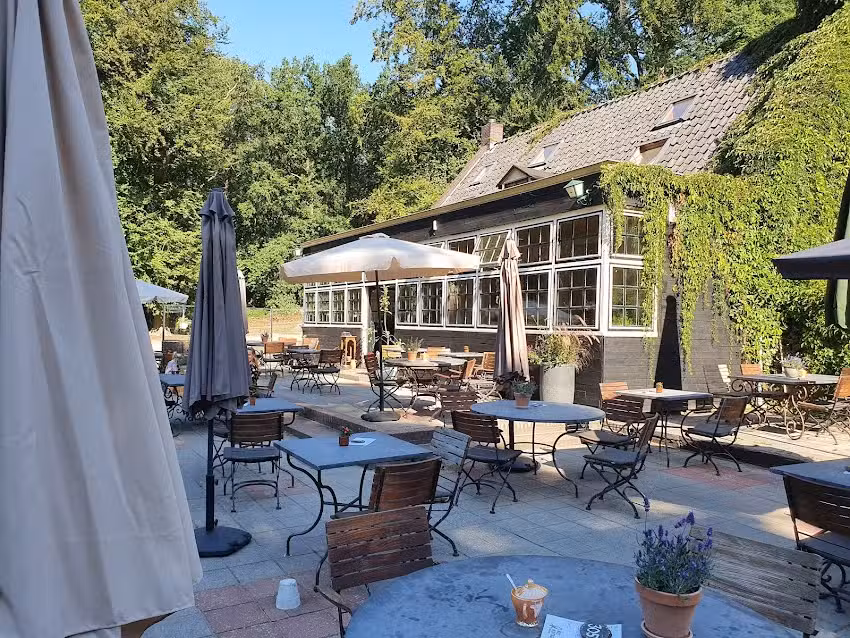 Mas Montagne