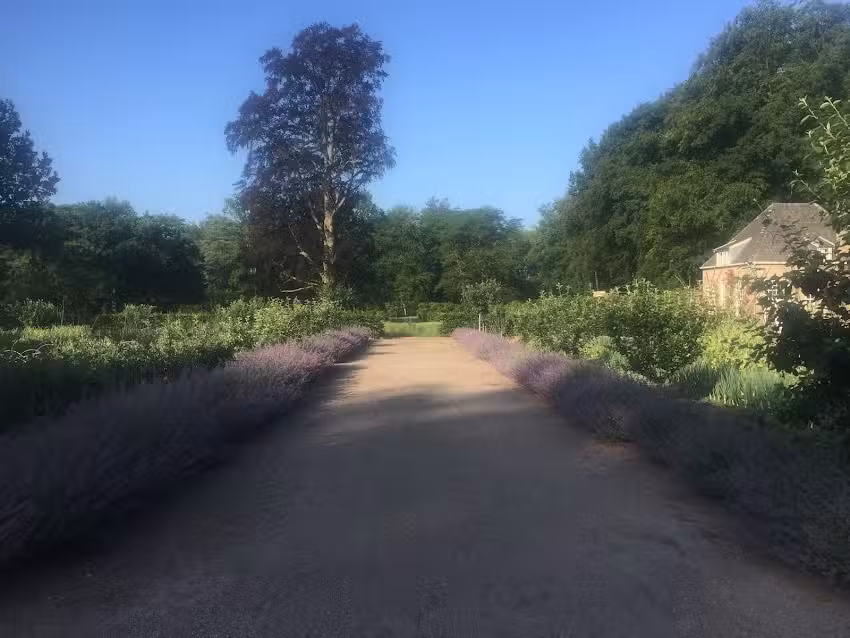 Moestuin Zuylestein 17e eeuwse moes- en pluktuin met landgoed winkel