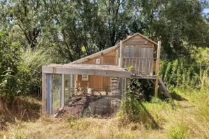 NoordOogst Stadslandbouwproject