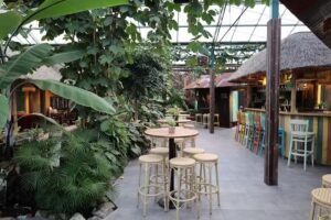 Pantropica Bar & Restaurant