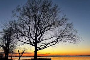 Restaurant de Vrijbuiter