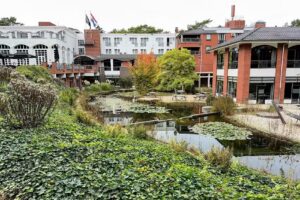 Restaurant Het Element