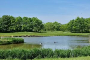 Restaurant Magnolia&rsquo;s