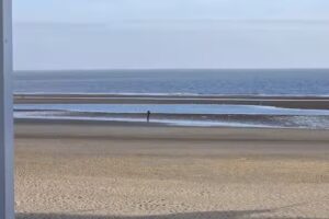 Restaurant Nieuwvliet Bad