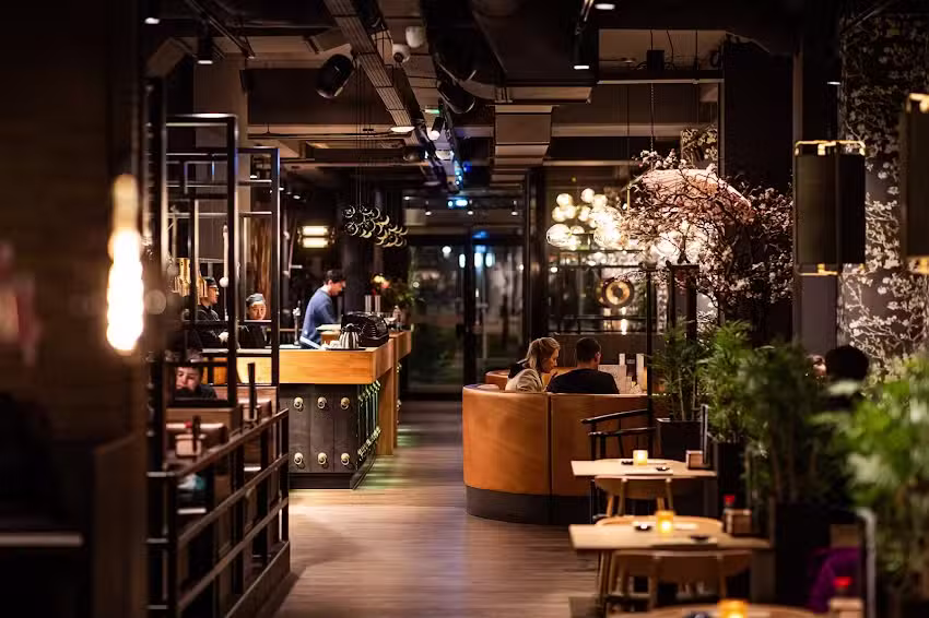 Shoyu Restaurant I Fine Dining Sushi Grill & Drinks