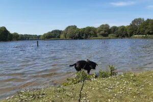 Snackkiosk Madefrietje