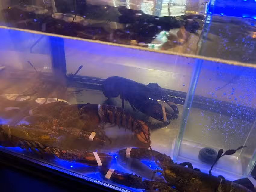 Stadsbrasserie Thalia