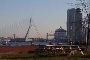 Sunny Side Terrace &ndash; ss Rotterdam
