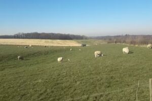 Terras Heijenraderweg