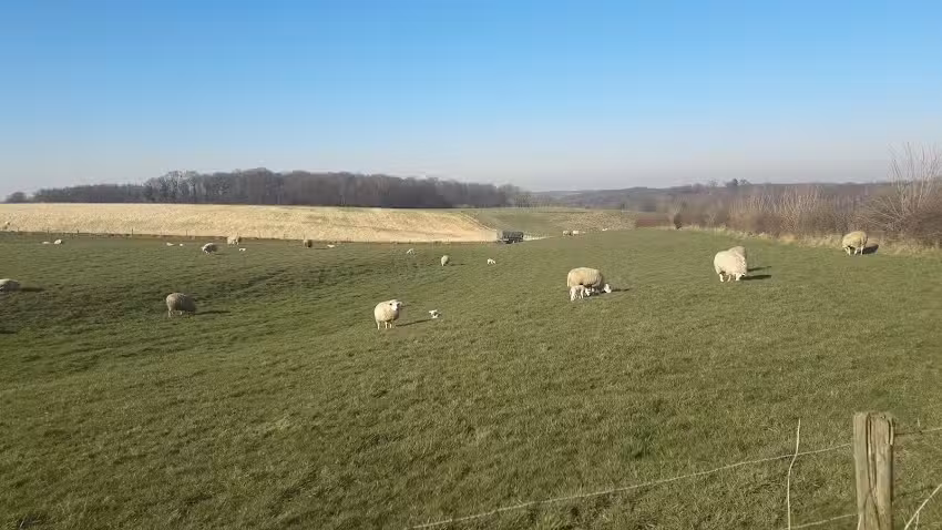 Terras Heijenraderweg