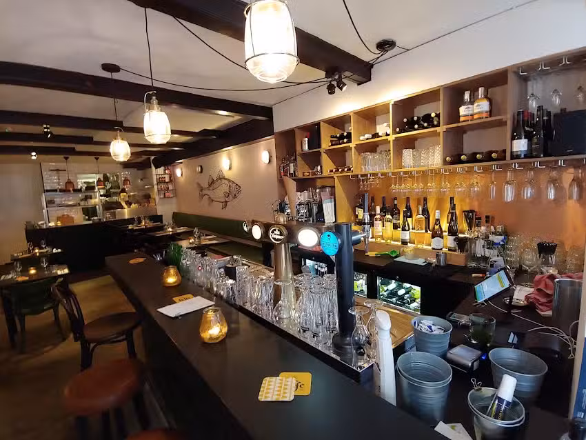 TGC de Visbar | The Good Companion