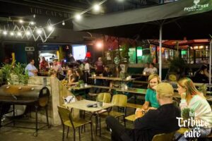 The Cat&rsquo;s Back