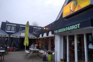 The Green Parrot