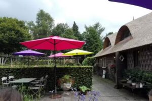 Theeschenkerij de Buytenplaets